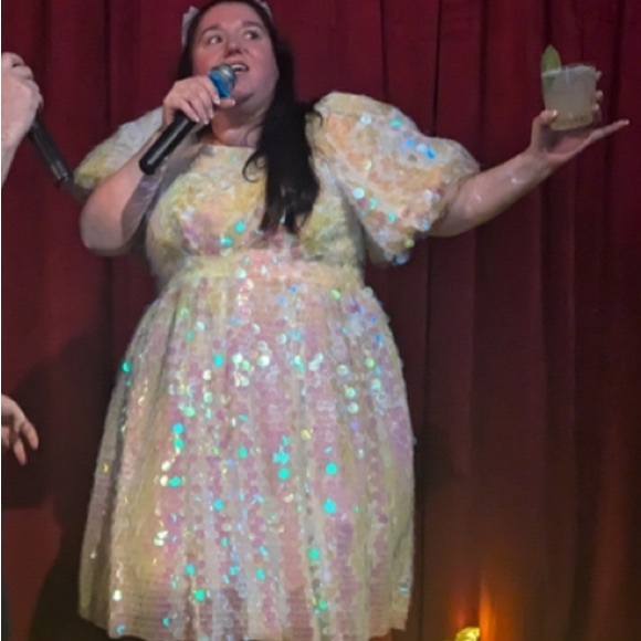 Ivy City Co Shimmer Dress size 20W Sold Out on the website! - Picture 3 of 5